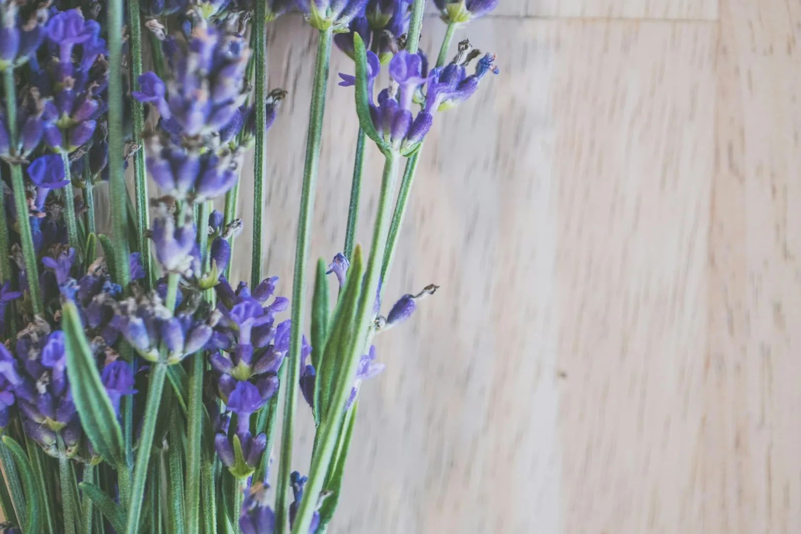 Aromathérapie : 5 huiles essentielles à connaître pour commencer