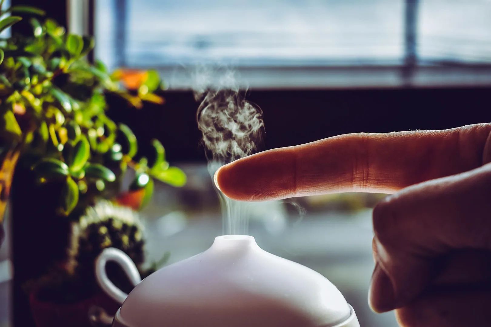 Aromathérapie : 5 huiles essentielles à connaître pour commencer
