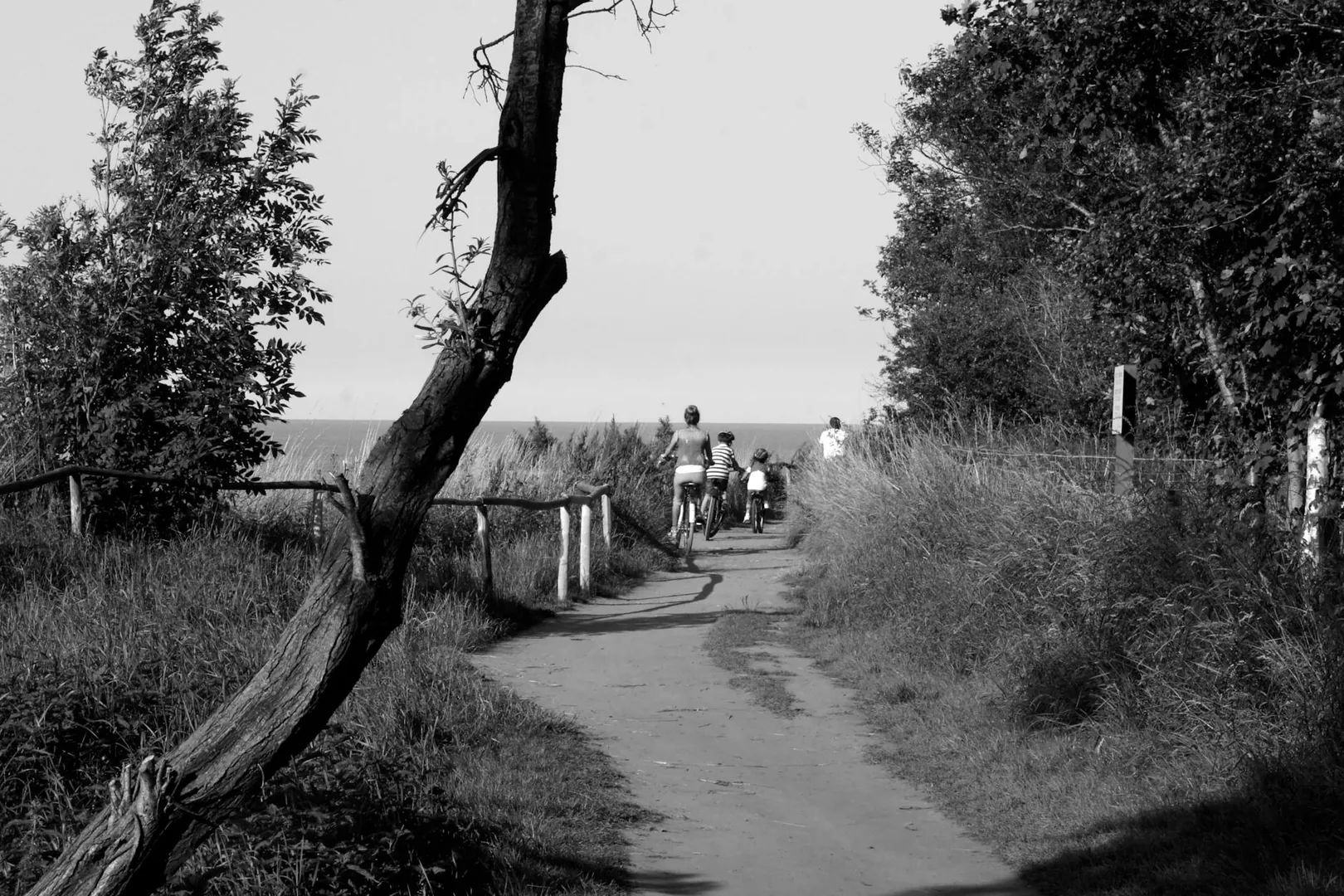 Vélo : bienfaits et conseils pour s'y mettre durablement